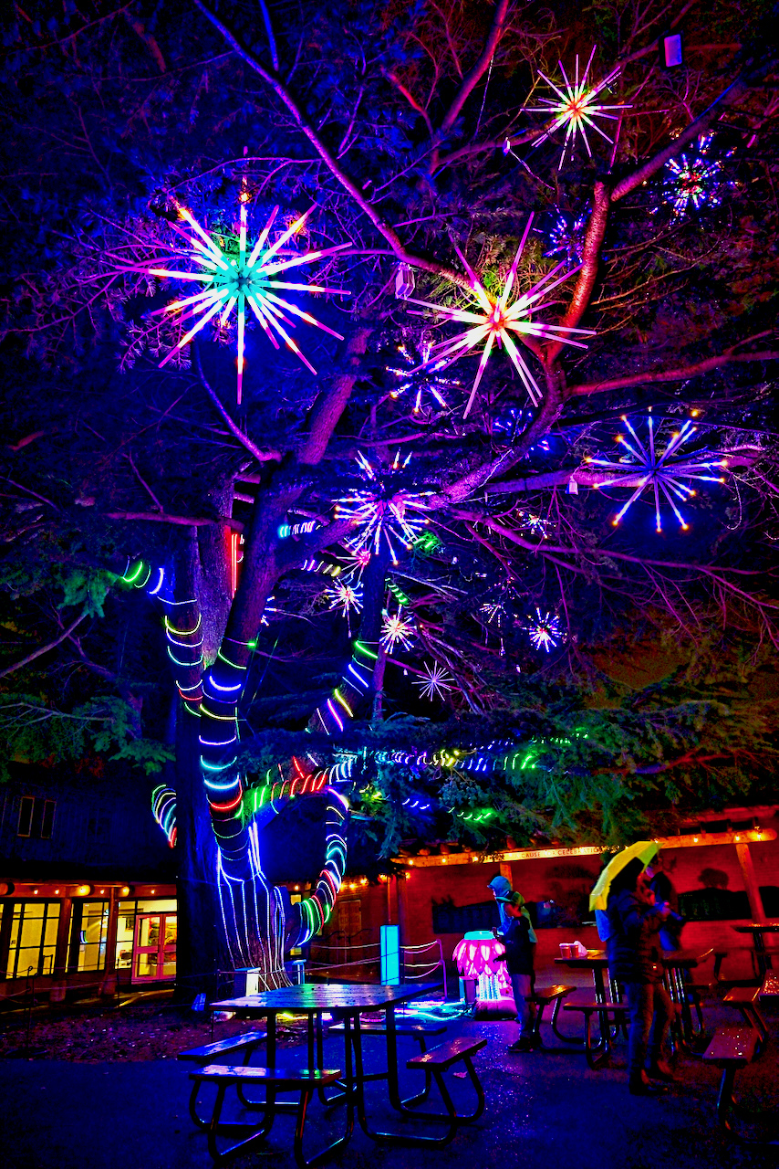 Wild Lanterns is back at Woodland Park Zoo with more animals, more